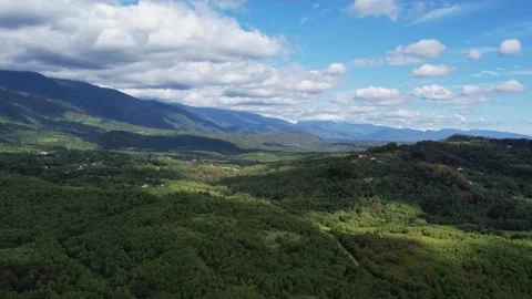 Mountains Covered With Forest Summer Drone 库存影片 255957409