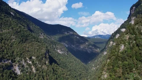 Mountains Covered With Forest Summer Drone 库存影片 255958013