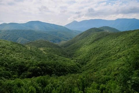 Mountains covered with forest under cloudy sky Stock Photos