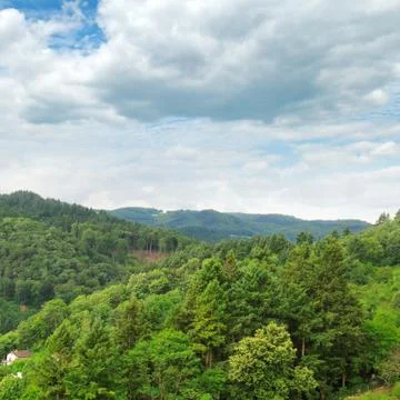 Mountains covered with forests Foto stock