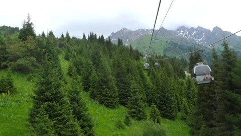 Mountains covered with forests, summer Stock Footage 304624720