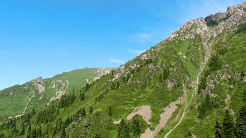 Mountains covered with green forest Stock Footage 305264100