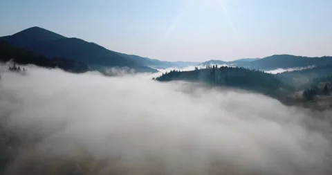 Mountains covered with green forests and spruce with fog Stock Footage 246424930