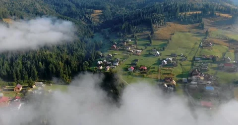 Mountains covered with green forests and spruce with fog Stock Footage 246424974