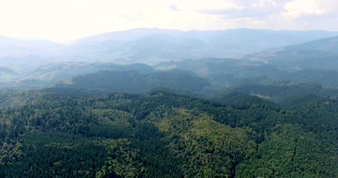 Mountains covered with green forests and spruce Stock Footage 246536616