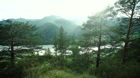 Mountains covered by green forests Stock Footage 66180910
