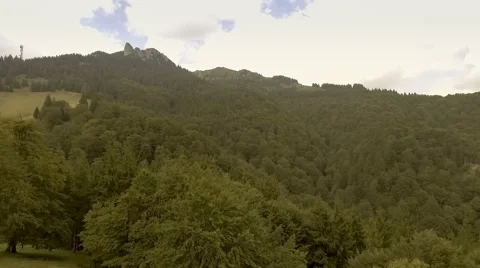 Mountains covered by green pine forests Stock Footage 67267420