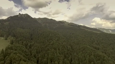 Mountains covered by green pine forests Stock Footage 67267769