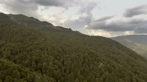 Mountains covered by green pine forests Stock Footage 67267879