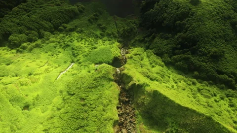 Mountains covered green vegetation in Poco Ribeira do Ferreiro, Flores Island 스톡 동영상 153257554
