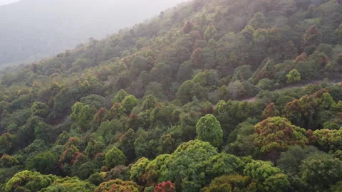 Mountains covered in haze from burning forests and covered with PM2.5. Vídeos de archivo 234849113