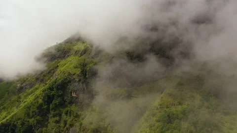 Mountains covered rainforest. Stock Footage 324948214