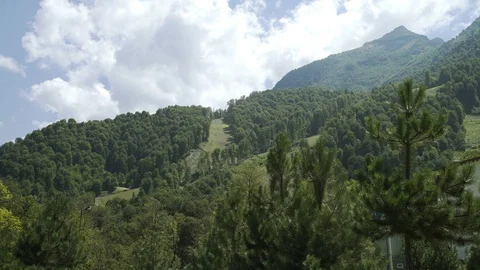 Mountains covered rainforest, trees. Caucasus Mountain landscape with mountain Vídeo Stock 115180301