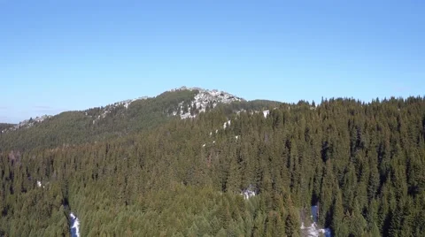 The mountains, covered with trees against the blue sky aerial. Stock Footage 60416220