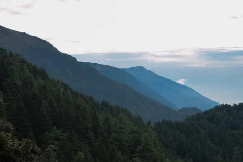 Mountains covered with trees ,white clouds and blue sky. Stock Photos