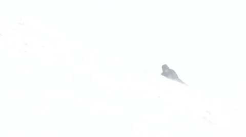 The mountains Danger of falling climber. Elbrus. Eco,mountains, nature, eco Stock Footage 52363915