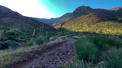 Mountains &amp; Desert View Plants 스톡 동영상 249646598