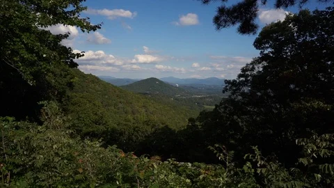 Mountains in Distance from Behind Trees Stock Footage 96722169