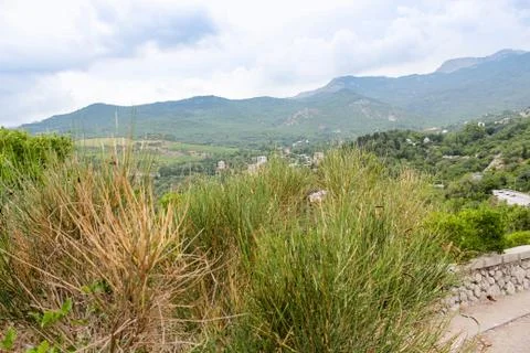 Mountains in the distance. Photos