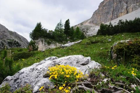 The Mountains of the Dolomites Stock Photos
