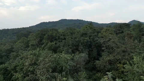 Mountains, Drone, Forest, Jungle Stock Footage 235614241