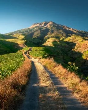 The mountains in East Java 写真素材