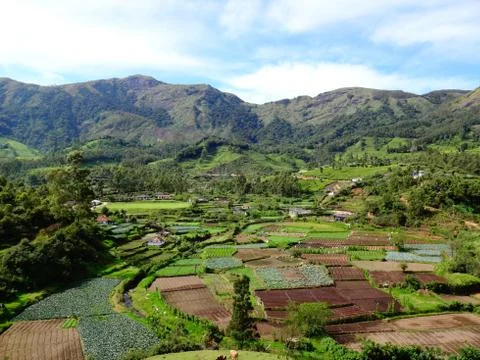 Mountains Field Stock Photos