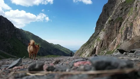 Mountains filmed from a drone Stock Footage 197838134