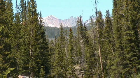 Mountains &amp; flowers Stock Footage 82756