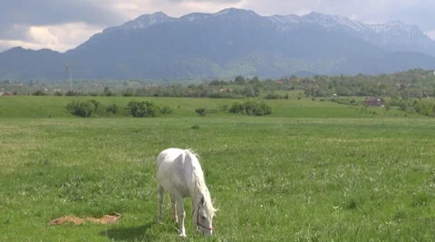 Mountains Stock Footage 8686491