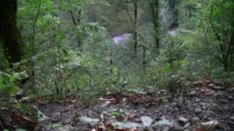 In the mountains Stock Footage 8690785