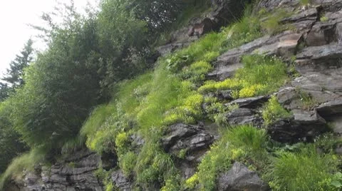 Mountains Video stock 8865056