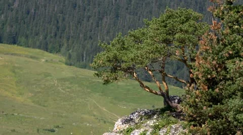 Mountains Stock Footage 11689058