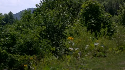 Mountains Stock Footage 11689885