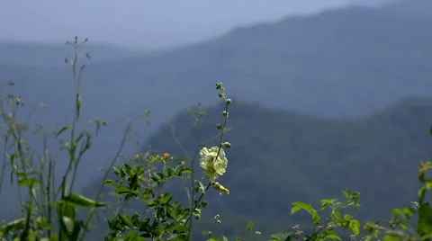 Mountains Stock Footage 11691019