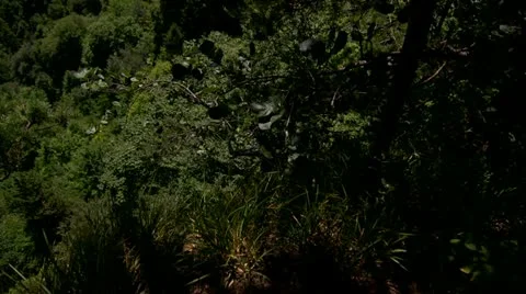 Mountains Stock Footage 11692534