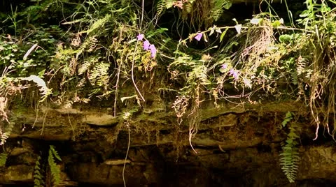 Mountains Stock-Footage 11695007