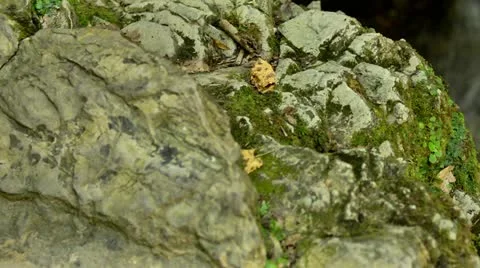 Mountains Stock Footage 11695964