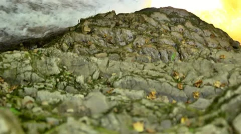 Mountains Stock Footage 11696496