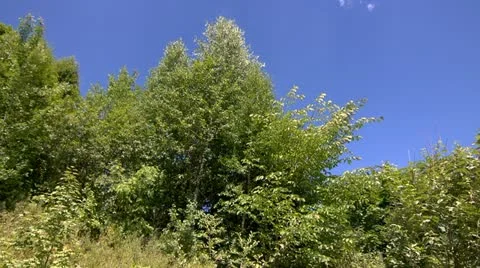 Mountains Stock Footage 11700596