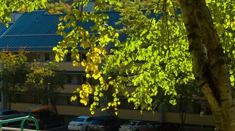 Mountains Stock Footage 30552482