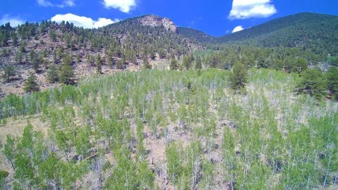 Mountains Stock Footage 91945351