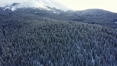 Mountains Vídeo Stock 101667070