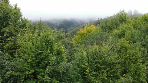 Mountains Stock Footage 170851075