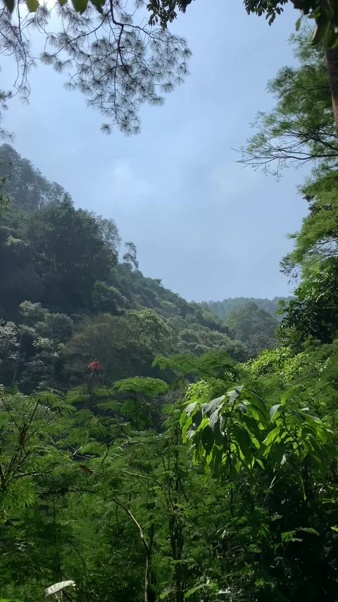 Mountains Stock Footage 208599333