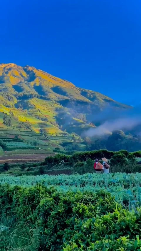 Mountains Stock Footage 221665441