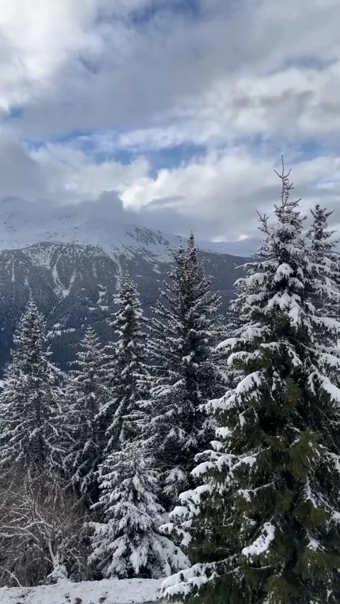 Mountains 動画素材 230107690