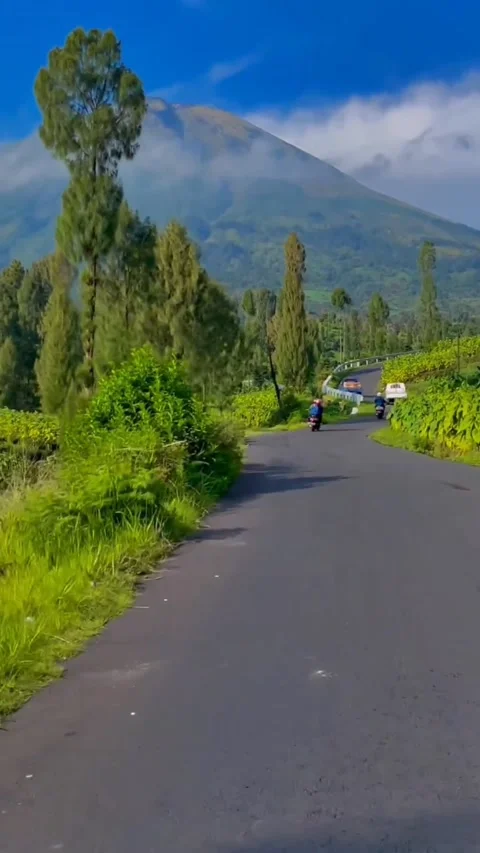 Mountains Video stock 233099856