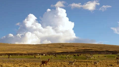 In mountains Stock Footage 270023895