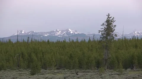 Mountains &amp; Forest 01 by dwking Video stock 11218639